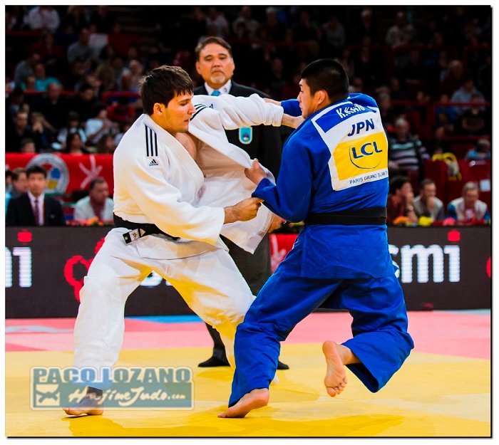 Paris 2014 by P.Lozano cat -90 kg_PLM3223